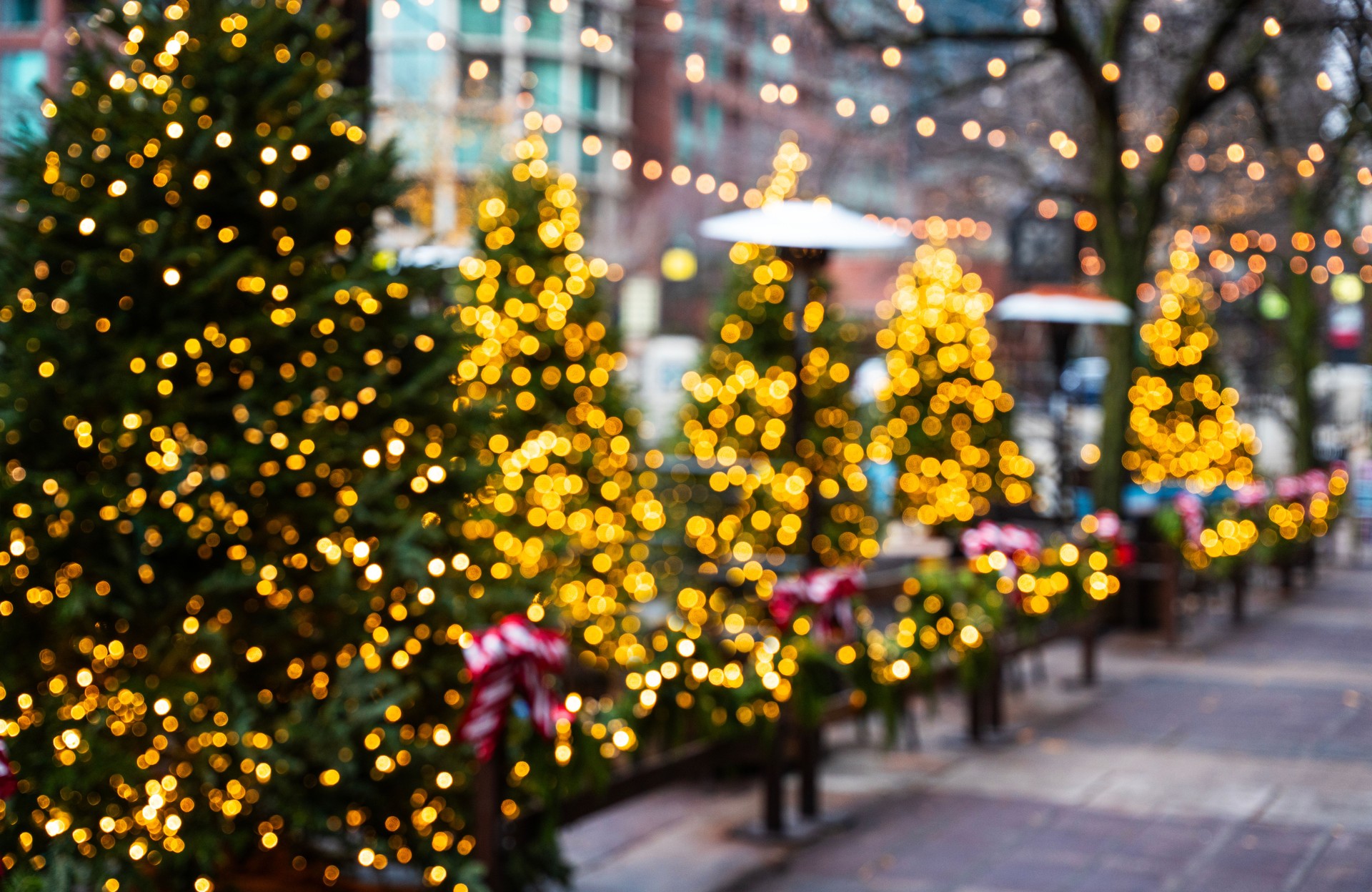 Christmas trees with decorations at Downtown Chicago, Illinois, USA